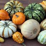Courges